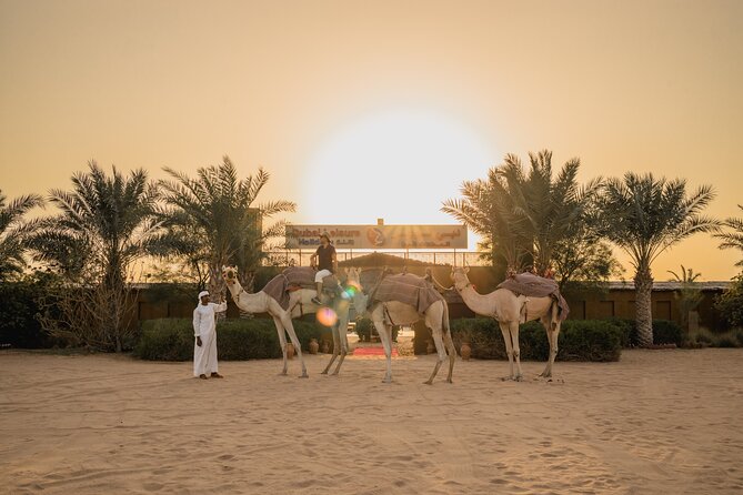 Adrenaline combo : Desert activities + ATV or Quad bike option - Guides Make It: The Names Guests Keep Mentioning