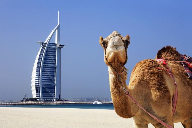 Afternoon Dubai City Iconic Skyline Tour including Transfers - Sheikh Zayed Road icons and the Mall of the Emirates glimpse