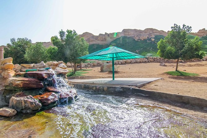 Al Ain City Sightseeing tour with Lunch from Dubai - Morning Transfer From Dubai to Al Ain: Desert Views Plus Explanations