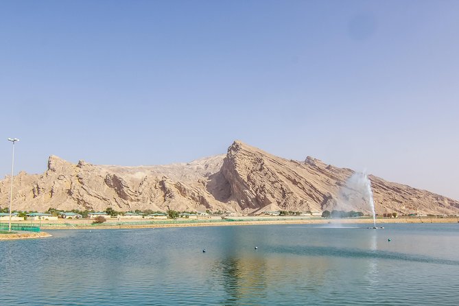 Al Ain City Sightseeing tour with Lunch from Dubai - Al Ain Oasis and the Falaj Channels: The Practical Wonder