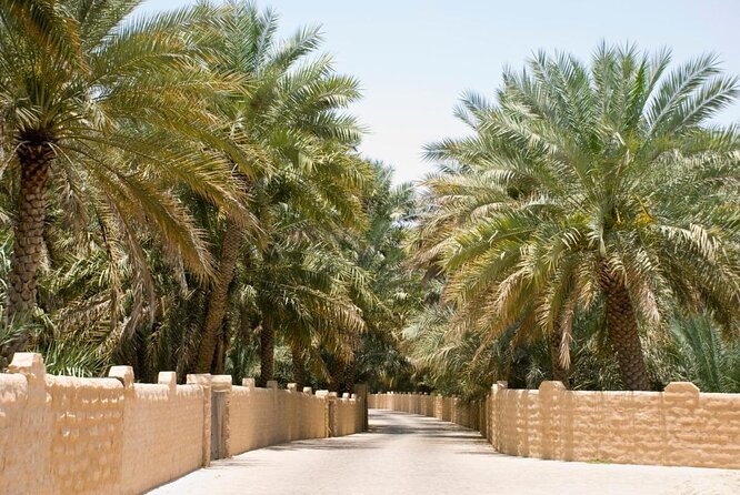 Al Ain City Sightseeing tour with Lunch from Dubai - Jebel Hafeet Hot Springs: What You Get, What You Don’t