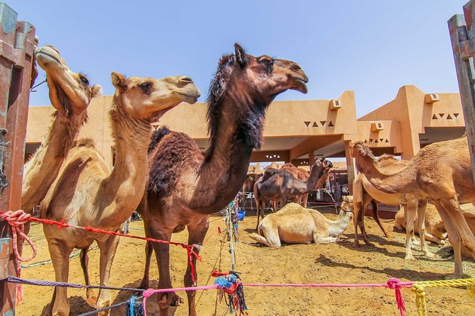Al Ain City Sightseeing tour with Lunch from Dubai - Camel Market: A Real-Time Look at Livestock Culture