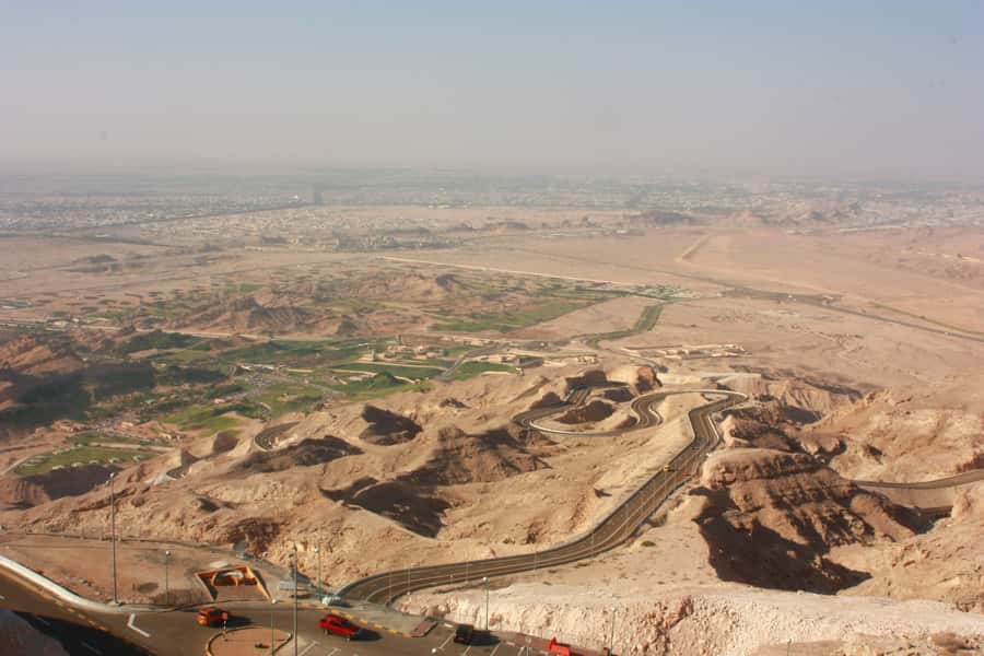 Al Ain City Tour | Oasis, Heritage & History Landscapes - Camel Market photo stop: tradition, trade, and timing surprises