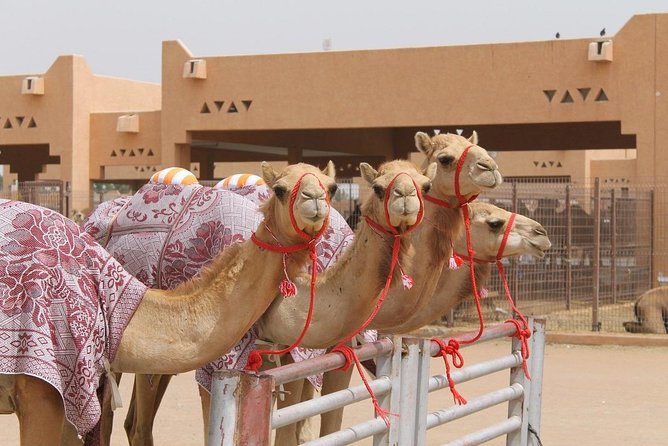 Al Ain City Tour on Private Basis - Al Ain National Museum: A 30-Minute Reality Check