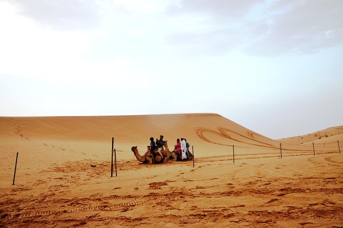Al Ain Desert Safari with Buffet Dinner - Weather, fitness, and small details that matter