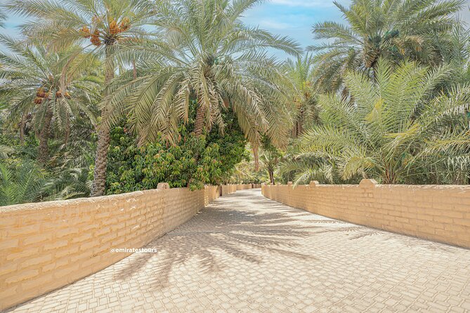 Al Ain Full Day Trip from Abu Dhabi with Lunch - Markets and the camel racing circuit: where you feel the daily rhythm