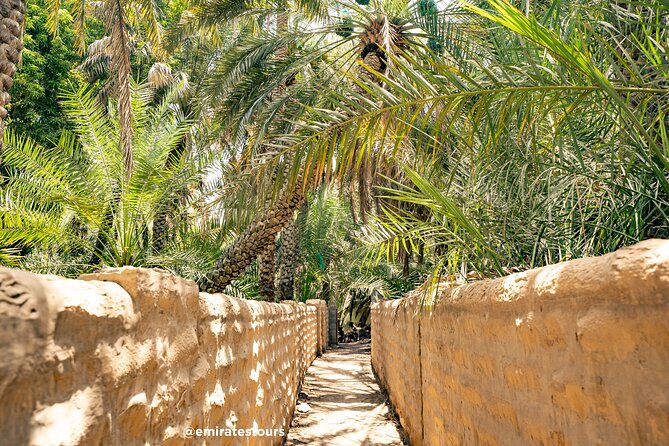 Al Ain Full Day Trip from Abu Dhabi with Lunch - Hot springs in the foothills: relaxing scenery, not a guaranteed swim