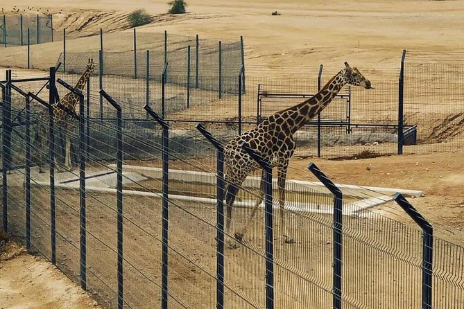 Al Ain Garden City Tour From Dubai - Al Ain Garden City, a different pace from Dubai