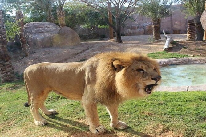 Al Ain Garden City Tour From Dubai - Pickup, Fun Tours LLC, and what matters once you are on the road