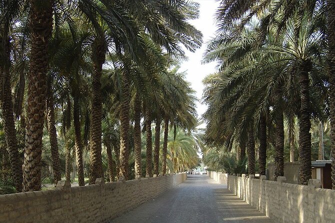 Al Ain Oasis Tour with Pickup and Drop off - Why Al Ain Oasis feels like a real change of scenery