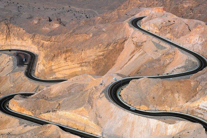 Al Ain Oasis Tour with Pickup and Drop off - Date oasis time: the best moments for slow looking