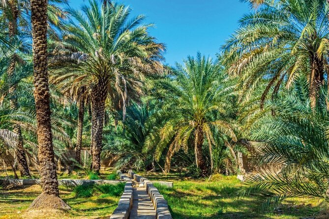 Al Ain Oasis Tour with Pickup and Drop off - 9:00am pickup, air-conditioned comfort, and a 10-hour plan that works