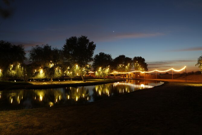 Al Marmoom Oasis Experience with Bedouin Dinner - Key things to know before you go