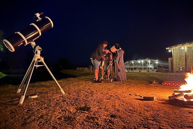 Al Marmoom Oasis Experience with Bedouin Dinner - Price and logistics for a 4.5 hour desert night