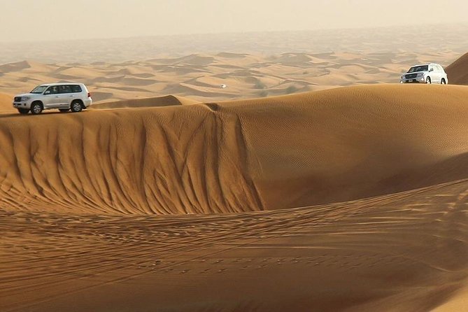 Amazing Abu Dhabi Evening Safari - Your Abu Dhabi evening safari starts before you reach the sand