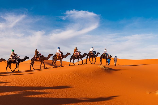 Amazing Abu Dhabi Evening Safari - Live entertainment at camp: belly dancing, Tanoura, and Yola