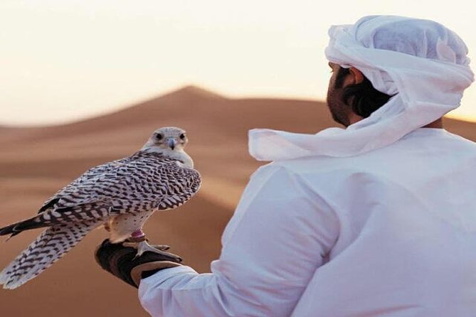 Arabian Desert Experience In Dubai - The 45-minute Dubai private tour block