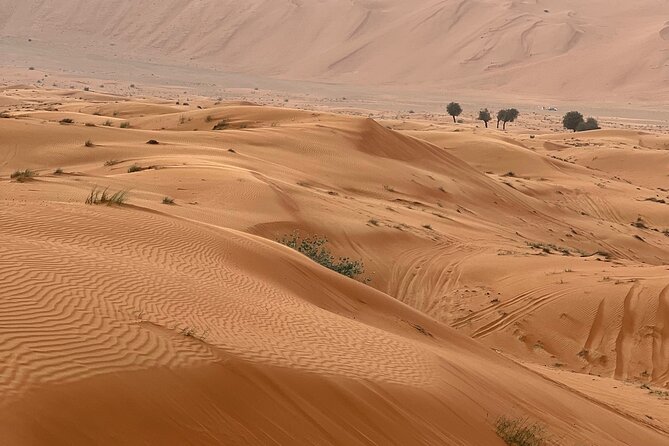Arabian Dune Buggy Adventure - Should You Book Arabian Dune Buggy Adventure?