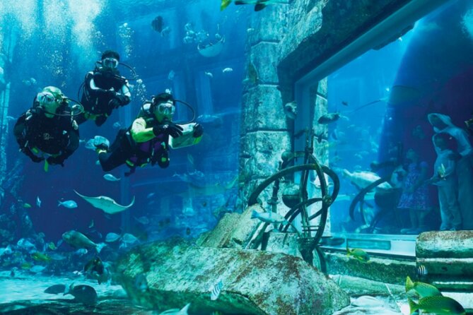 Atlantis Aquaventure and Lost Chambers Aquarium combo Ticket - Should you book this Atlantis Aquaventure and Lost Chambers combo?