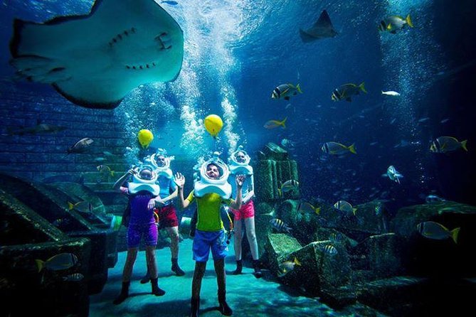 Atlantis Lost-Chamber Aquarium Dubai - Who This Fits Best in Your Trip