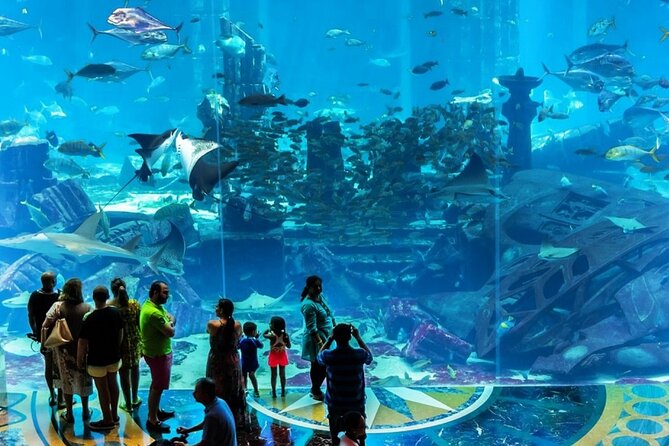 Atlantis Lost-Chamber Aquarium Dubai - Getting the Timing Right: Morning, Afternoon, and Flow