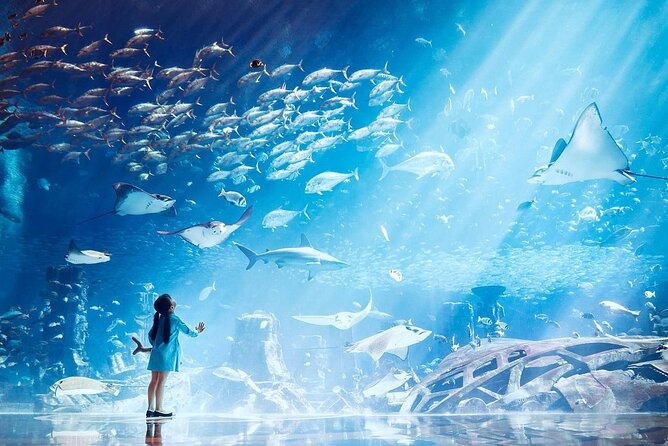 Atlantis Lost-Chamber Aquarium Dubai - What You See Inside: Rays, Fish, and the Big Main Tank