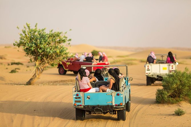 Authentic Safari in Vintage Land Rover with Traditional Dinner - A 1950s-Style Land Rover Safari in a Conservation Reserve