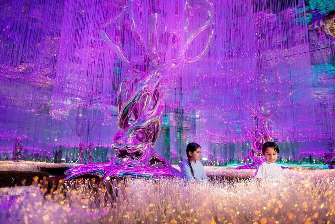 AYA Universe Dubai Tickets with Transfer Option - Your easy walkthrough: from Aurora to The source