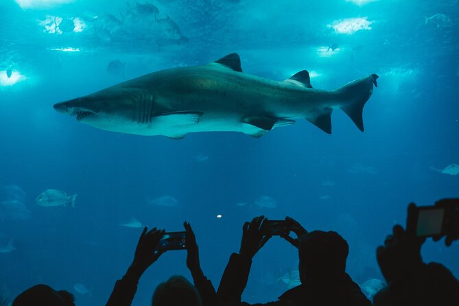 Burj Khalifa and Dubai Aquarium Combo Entrance Ticket - Practical tips so you leave happy