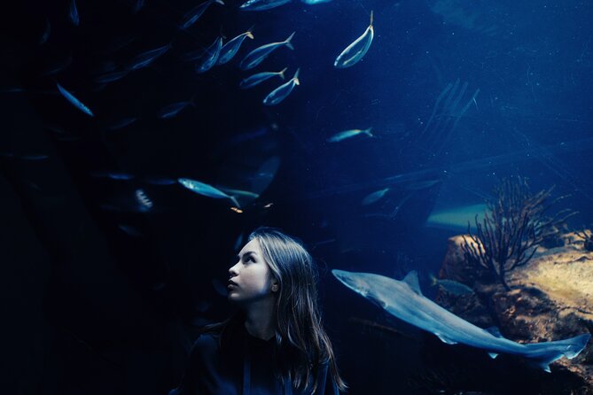 Burj Khalifa and Dubai Aquarium Combo Entrance Ticket - Dubai Aquarium and Underwater Zoo inside Dubai Mall: what to expect