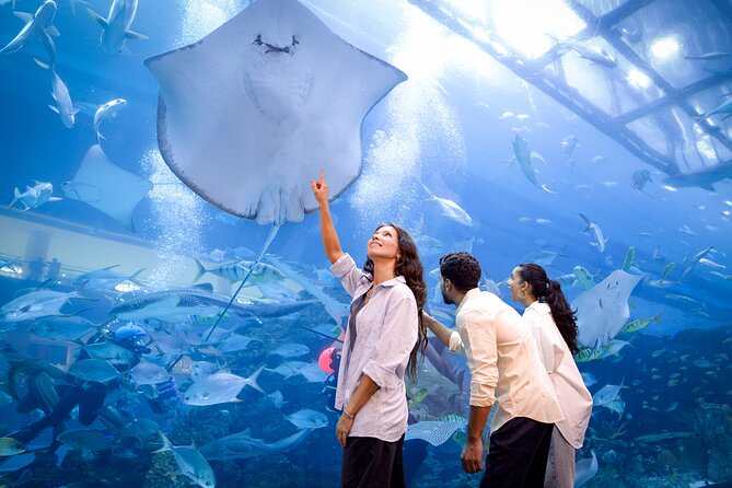 Burj Khalifa At the Top & Dubai Aquarium Combo Entrance Tickets - Time slots, lines, and how to keep your day calm