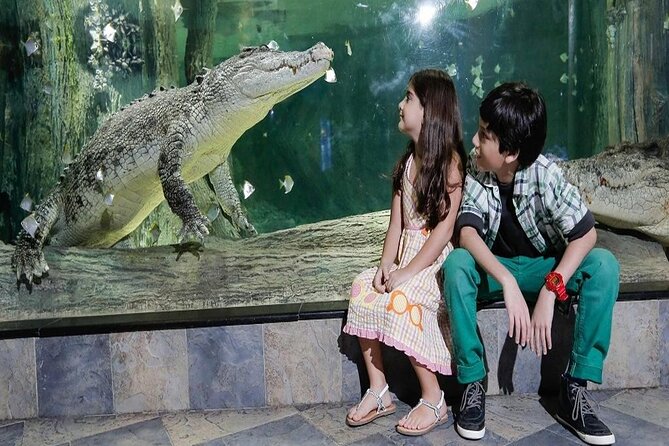 Burj Khalifa At The Top & Underwater Zoo Aquarium with Transfer - Dubai Aquarium & Underwater Zoo: the real wow is 10 million litres