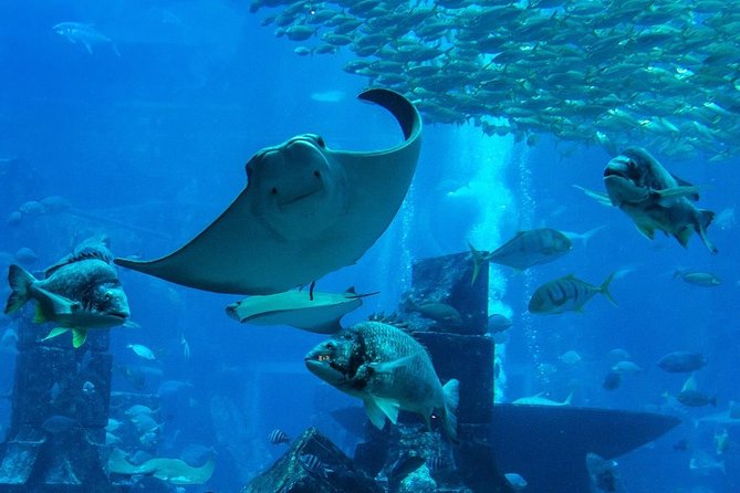 Burj Khalifa, Dubai Aquarium & UWZ with Penguin Cove Entry Ticket - Burj Khalifa at the 124th and 125th Floors, With Telescopes and Terrace Time