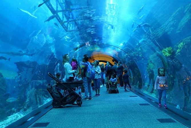 Burj Khalifa, Dubai Aquarium & UWZ with Penguin Cove Entry Ticket - The Real Trick: Scheduling Two Timed Entries in One Day