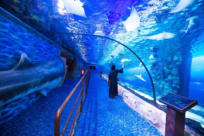 Burj Khalifa, Dubai Aquarium & UWZ with Penguin Cove Tickets - Burj Khalifa At The Top: 124th and 125th Floor Views and Queue Reality