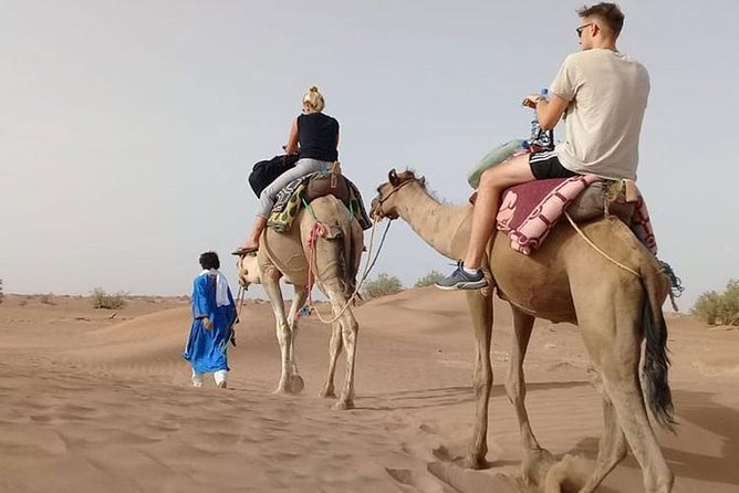 Camel Ride in Desert with Dune Bashing, BBQ Dinner and Belly Dance - Key highlights you should know
