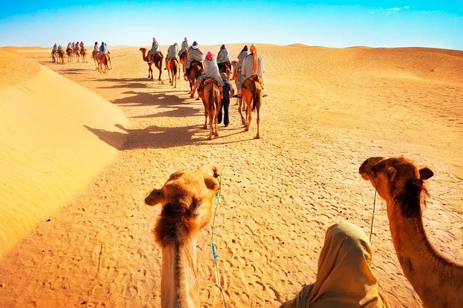 Camel Ride in Desert with Dune Bashing, BBQ Dinner and Belly Dance - Price check: is $73.87 worth it for 6 hours?