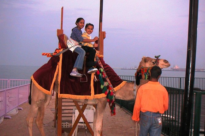Camel Ride in Desert with Dune Bashing, BBQ Dinner and Belly Dance - Who this desert safari fits best