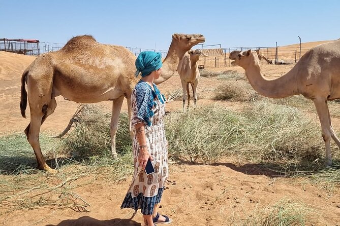 Camel Ride Safari in Red Dunes - What is included, what is not, and what to plan for