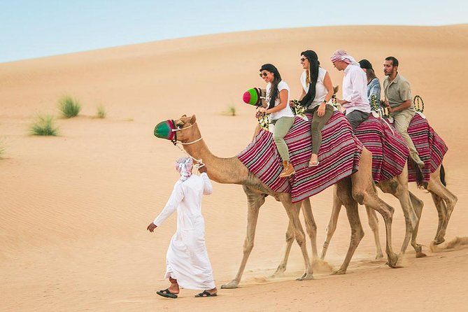 Camel Trekking and Morning Safari with Sand Boarding - Sunrise Photo Stop at High Dunes, With Photographer Guidance