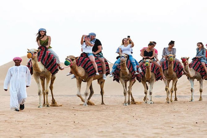 Camel Trekking and Morning Safari with Sand Boarding - Camel Trekking for 20 Minutes: Calm Views Without the Long Wait