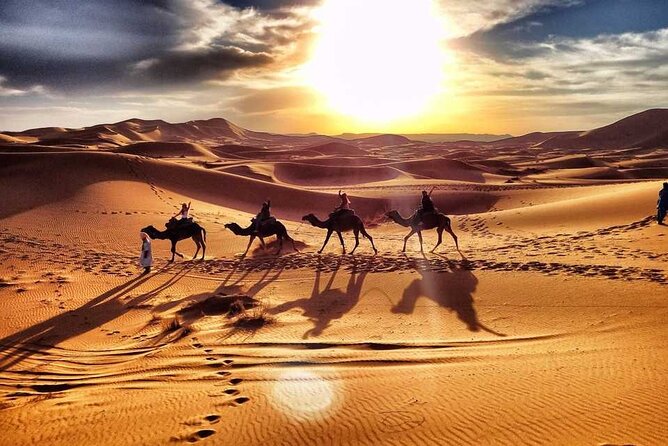 Camel Trekking Dubai with Dune Bashing and Sand Boarding - The 7:00 am start that makes the whole desert day better