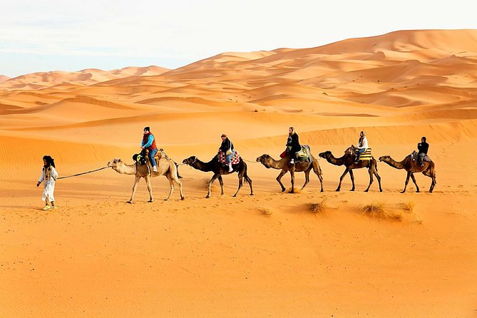 Camel Trekking Dubai with Dune Bashing and Sand Boarding - Camel trekking for about 1 hour, and why it’s the perfect counterbalance
