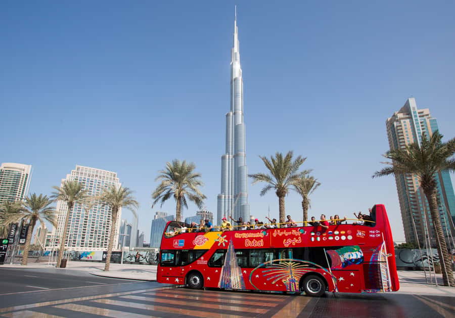 City Sightseeing Dubai HOHO Bus Tour, Aquaventure & More - Key takeaways before you go