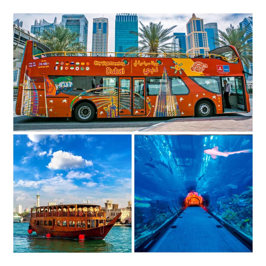 City Sightseeing Dubai Hop-On Hop-Off Bus Tour & Dhow Cruise - How the bus system works, Red Route vs Blue Route