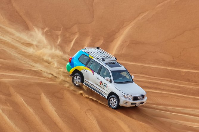 Classic Dubai Desert Safari with BBQ Dinner and Camp activities - Camel farm stop: getting close without the tourist-traffic feel