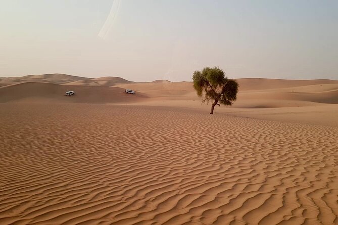 Combo 1- MORNING SAFARI+HALF DAY CITY TOUR - Why this combo feels efficient for Abu Dhabi
