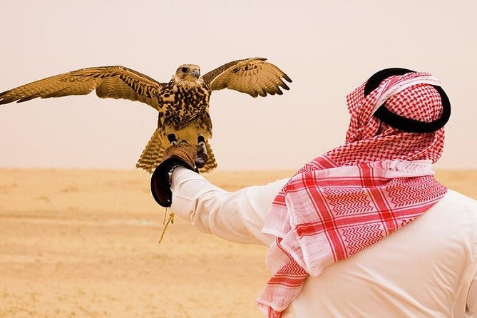 Combo Tours: Half-Day Dubai City Tour With Evening Red Dunes Desert Safari - How the City Part Sets You Up for the Desert