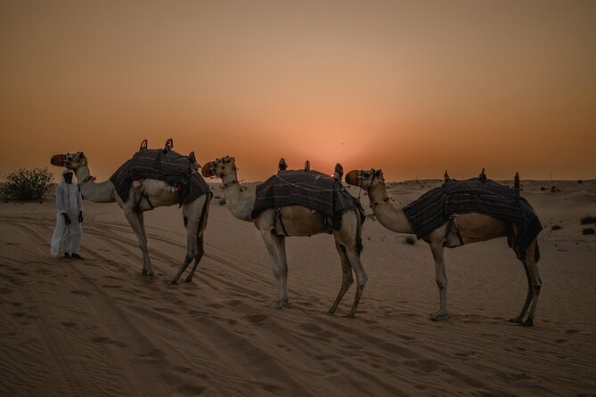 Deluxe Sunset Desert Safari: SandSurfing, Camel Ride & BBQ dinner - Sandboarding and a Real Sunset Photo Stop