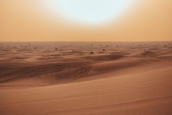Deluxe Sunset Desert Safari: SandSurfing, Camel Ride & BBQ dinner - Camel Ride to the Deluxe Camp, Plus the Falcon Moment
